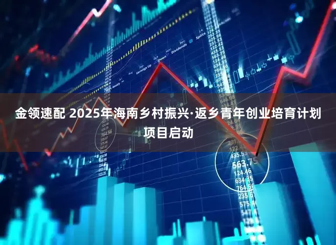 金領速配 2025年海南鄉(xiāng)村振興·返鄉(xiāng)青年創(chuàng)業(yè)培育計劃項目啟動