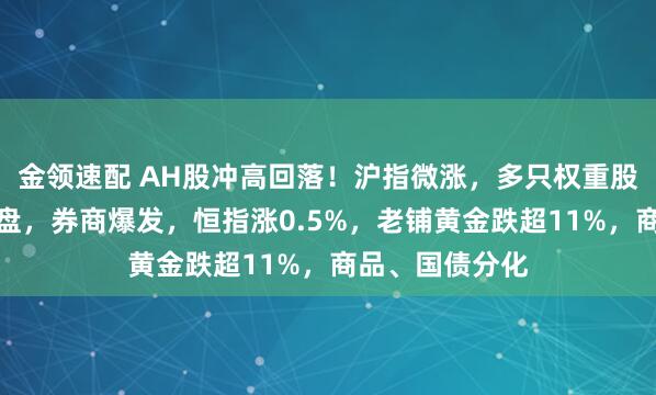 金領(lǐng)速配 AH股沖高回落！滬指微漲，多只權(quán)重股尾盤競價遭拋盤，券商爆發(fā)，恒指漲0.5%，老鋪黃金跌超11%，商品、國債分化